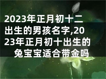 2023年正月初十二出生的男孩名字,2023年正月初十出生的兔宝宝适合带金吗