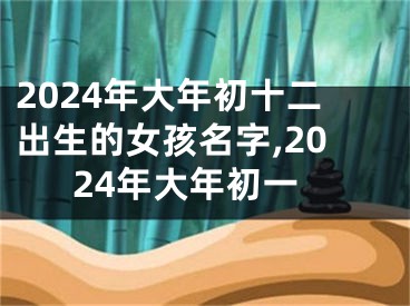 2024年大年初十二出生的女孩名字,2024年大年初一