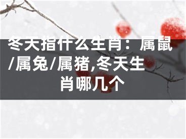 冬天指什么生肖：属鼠/属兔/属猪,冬天生肖哪几个
