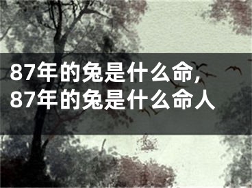 87年的兔是什么命,87年的兔是什么命人