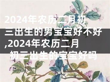 2024年农历二月初三出生的男宝宝好不好,2024年农历二月初三出生的宝宝好吗