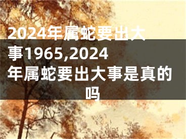 2024年属蛇要出大事1965,2024年属蛇要出大事是真的吗