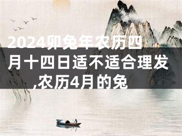 2024卯兔年农历四月十四日适不适合理发,农历4月的兔