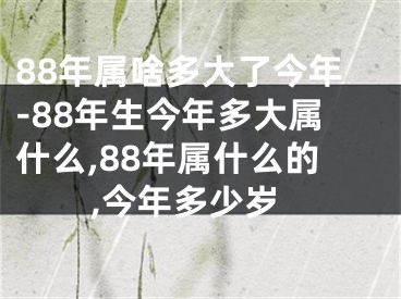 88年属啥多大了今年-88年生今年多大属什么,88年属什么的,今年多少岁
