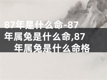 87年是什么命-87年属兔是什么命,87年属兔是什么命格