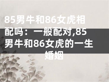 85男牛和86女虎相配吗：一般配对,85男牛和86女虎的一生婚姻