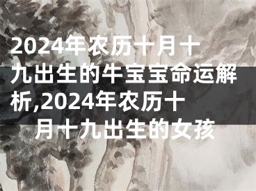 2024年农历十月十九出生的牛宝宝命运解析,2024年农历十月十九出生的女孩