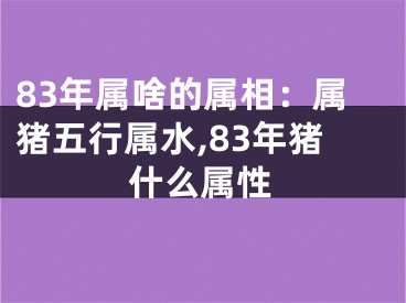 83年属啥的属相：属猪五行属水,83年猪什么属性
