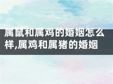 属鼠和属鸡的婚姻怎么样,属鸡和属猪的婚姻