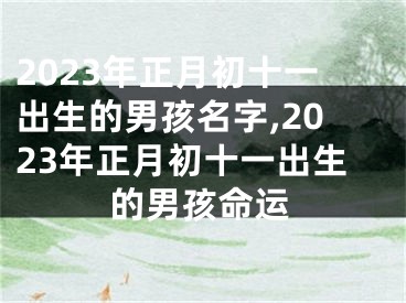 2023年正月初十一出生的男孩名字,2023年正月初十一出生的男孩命运