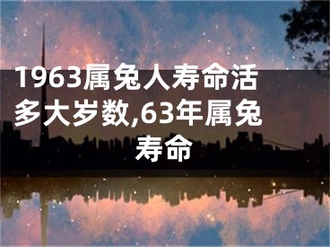 1963属兔人寿命活多大岁数,63年属兔寿命