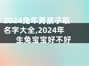 2024兔年男孩子取名字大全,2024年生兔宝宝好不好