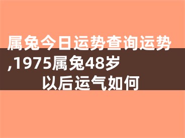属兔今日运势查询运势,1975属兔48岁以后运气如何