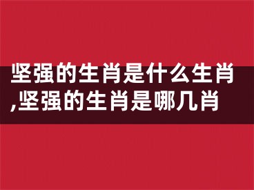 坚强的生肖是什么生肖,坚强的生肖是哪几肖
