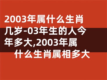 2003年属什么生肖几岁-03年生的人今年多大,2003年属什么生肖属相多大