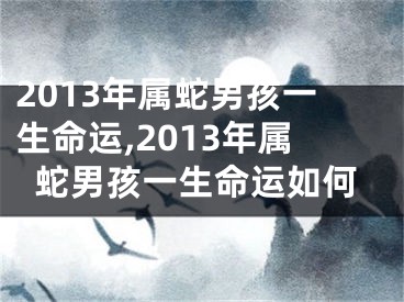 2013年属蛇男孩一生命运,2013年属蛇男孩一生命运如何