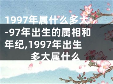 1997年属什么多大-97年出生的属相和年纪,1997年出生多大属什么