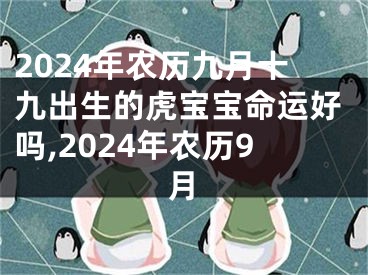 2024年农历九月十九出生的虎宝宝命运好吗,2024年农历9月