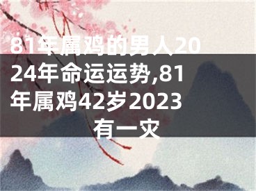 81年属鸡的男人2024年命运运势,81年属鸡42岁2023有一灾