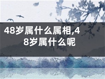 48岁属什么属相,48岁属什么呢