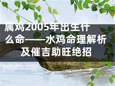 属鸡2005年出生什么命——水鸡命理解析及催吉助旺绝招
