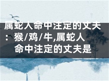 属蛇人命中注定的丈夫：猴/鸡/牛,属蛇人命中注定的丈夫是