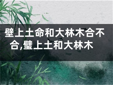 壁上土命和大林木合不合,璧上土和大林木