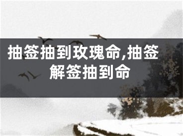 抽签抽到玫瑰命,抽签解签抽到命