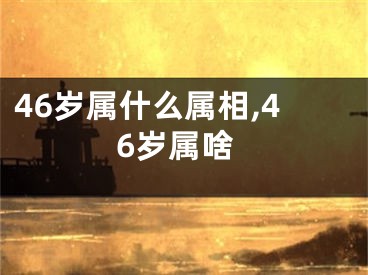 46岁属什么属相,46岁属啥