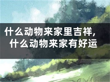 什么动物来家里吉祥,什么动物来家有好运