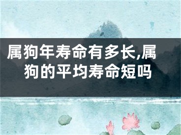属狗年寿命有多长,属狗的平均寿命短吗