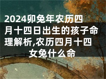 2024卯兔年农历四月十四日出生的孩子命理解析,农历四月十四女兔什么命