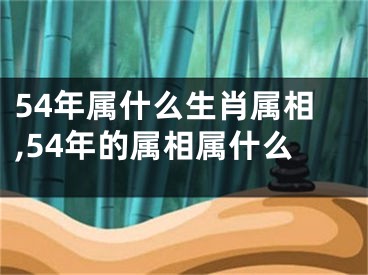 54年属什么生肖属相,54年的属相属什么