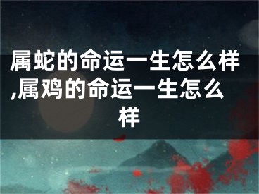 属蛇的命运一生怎么样,属鸡的命运一生怎么样