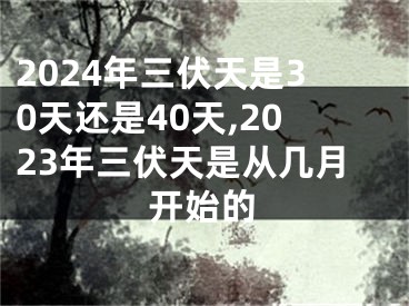 2024年三伏天是30天还是40天,2023年三伏天是从几月开始的