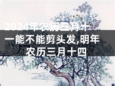 2024年农历三月十一能不能剪头发,明年农历三月十四