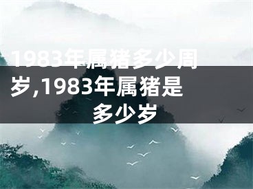 1983年属猪多少周岁,1983年属猪是多少岁