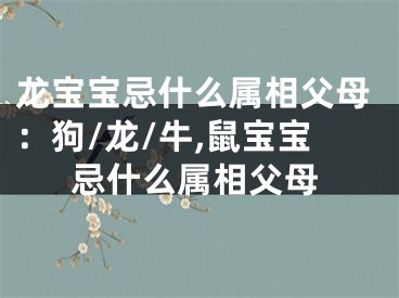 龙宝宝忌什么属相父母：狗/龙/牛,鼠宝宝忌什么属相父母
