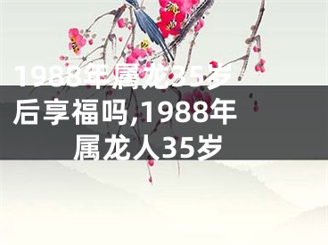 1988年属龙35岁后享福吗,1988年属龙人35岁