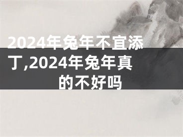 2024年兔年不宜添丁,2024年兔年真的不好吗