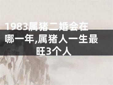 1983属猪二婚会在哪一年,属猪人一生最旺3个人