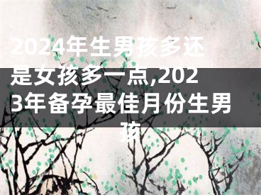 2024年生男孩多还是女孩多一点,2023年备孕最佳月份生男孩