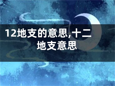 12地支的意思,十二地支意思