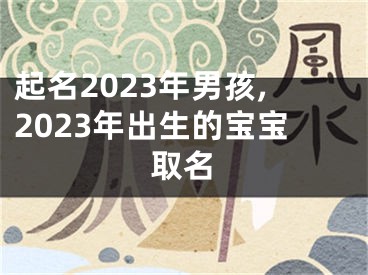 起名2023年男孩,2023年出生的宝宝取名