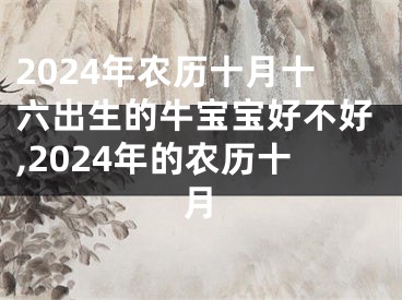 2024年农历十月十六出生的牛宝宝好不好,2024年的农历十月
