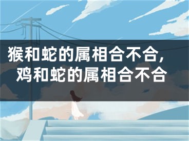 猴和蛇的属相合不合,鸡和蛇的属相合不合