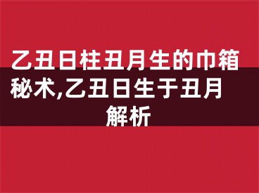 乙丑日柱丑月生的巾箱秘术,乙丑日生于丑月解析