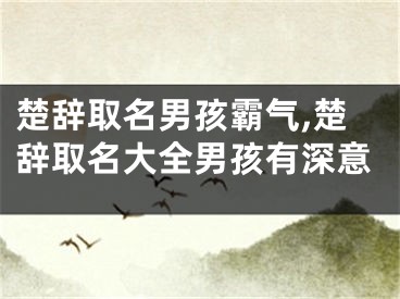 楚辞取名男孩霸气,楚辞取名大全男孩有深意