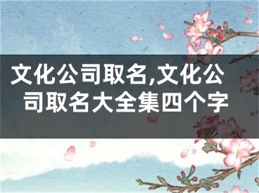 文化公司取名,文化公司取名大全集四个字