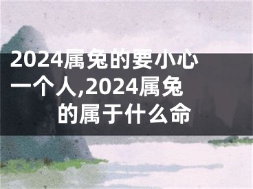 2024属兔的要小心一个人,2024属兔的属于什么命